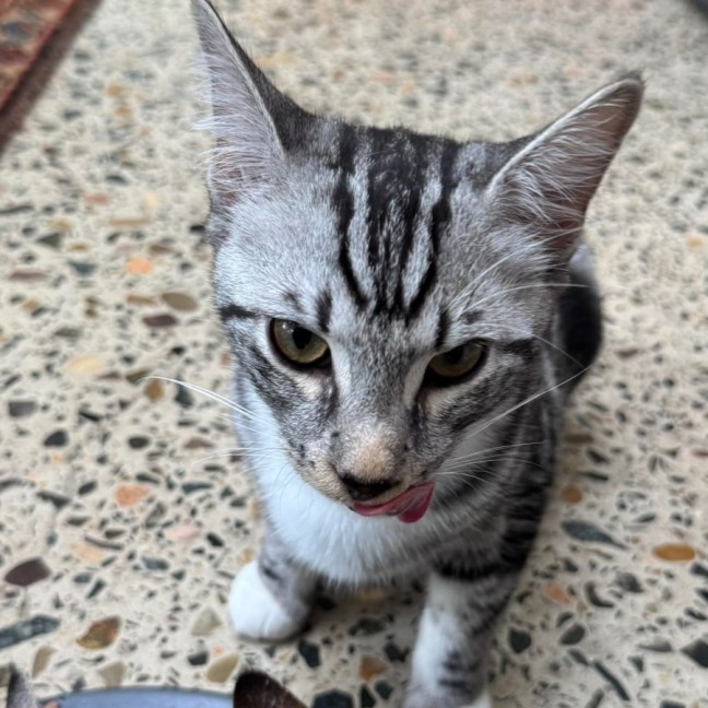 Photo of Otis And Reading