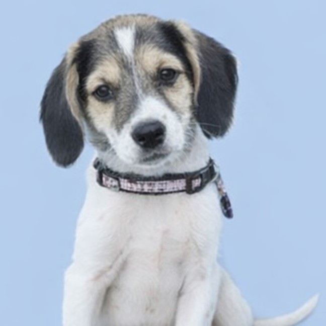 Photo of Ernie