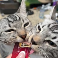 Photo of Otis And Reading