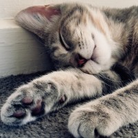 Photo of Perla/Winnie