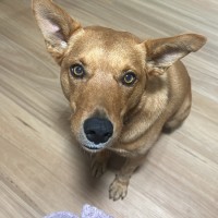 Photo of Ted 