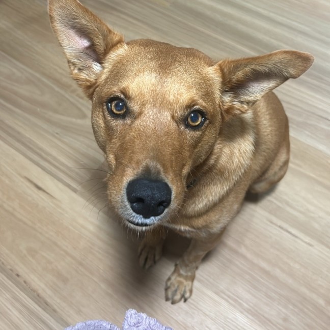 Photo of Ted 