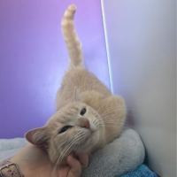 Photo of Luna