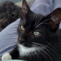 Photo of Boo Boo Bear