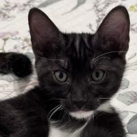 Photo of Wisey