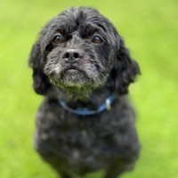 Photo of Kiki