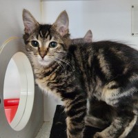 Photo of Melton Crew