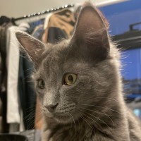 Photo of Charlie King