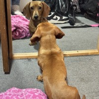 Photo of Murphy