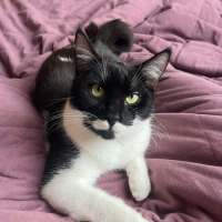 Photo of Pantaloons