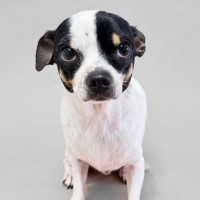 Photo of Bonty