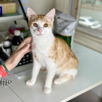 Photo of Arnie