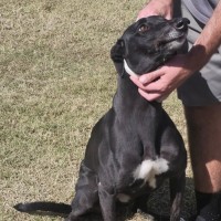 Photo of Baby Girl