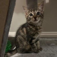 Photo of Horizon Aka "Have A Chat"