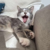 Photo of 🤗Sylvester🤗