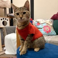 Photo of Daisy