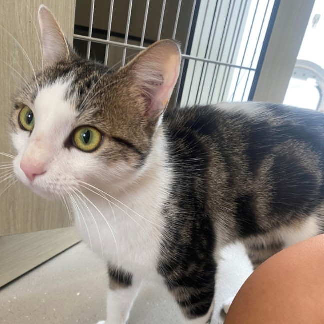 Photo of C1346 Delilah