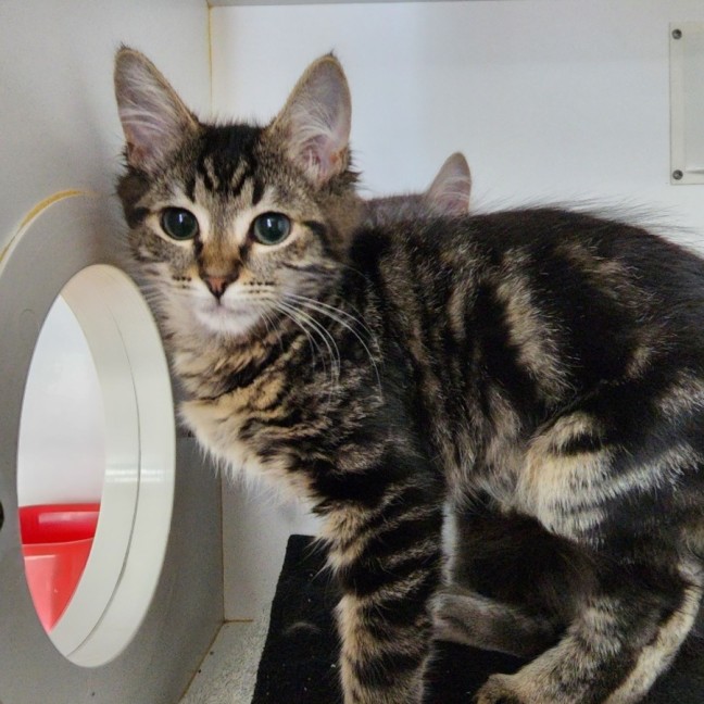 Photo of Melton Crew