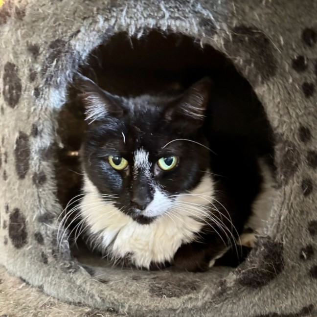 Photo of Libby 