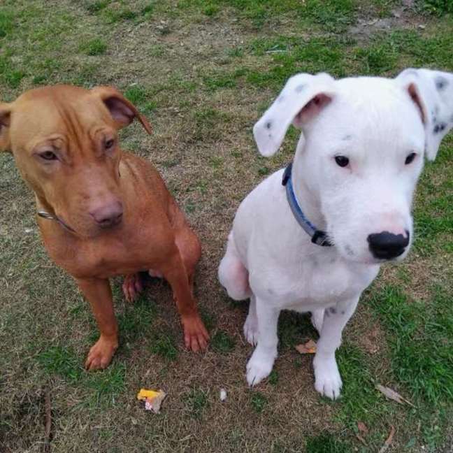 Photo of Dan And Troy