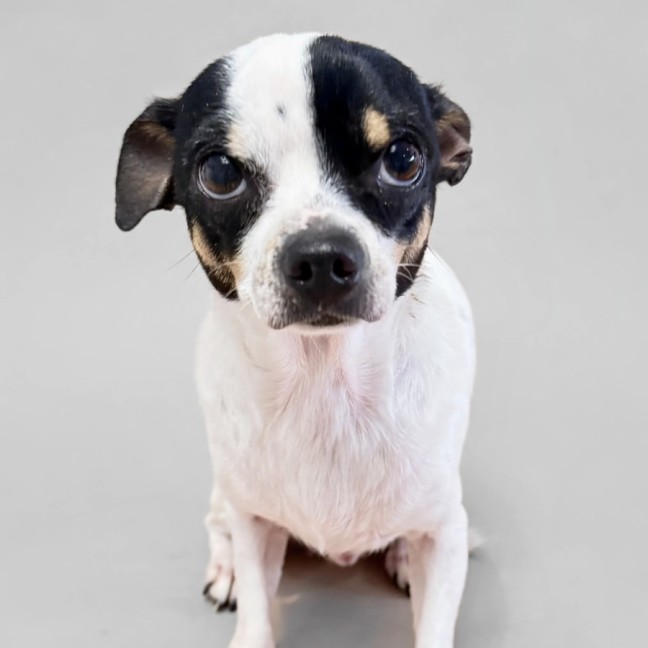 Photo of Bonty