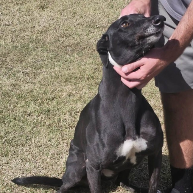 Photo of Baby Girl