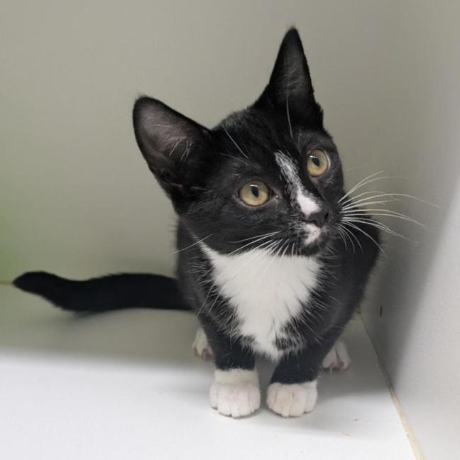 Photo of 🥯 Valerie 6724 🥯