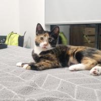Photo of Emelie