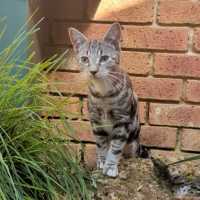 Photo of Hamish