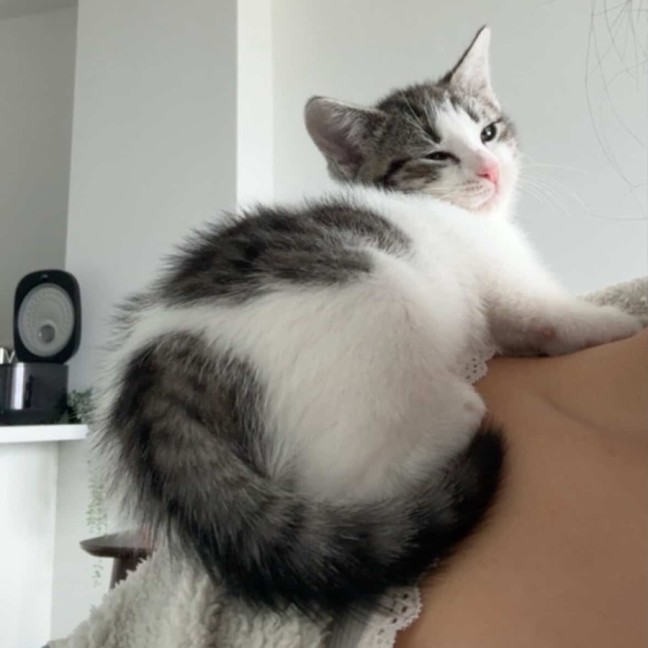 Photo of Freddie & Poppy