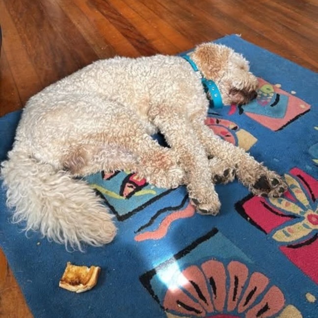 Photo of Charlie