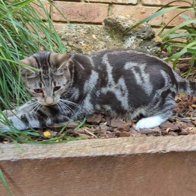 Photo of Hamish