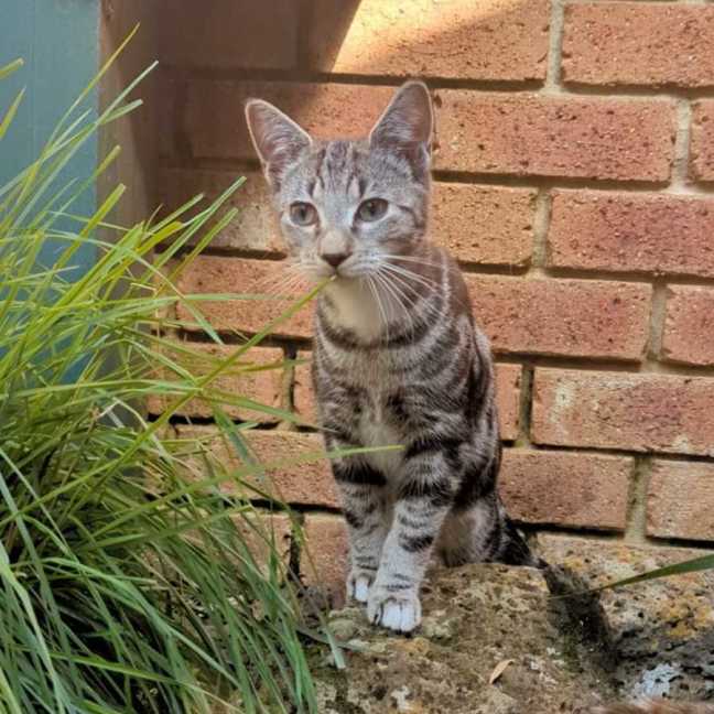 Photo of Hamish