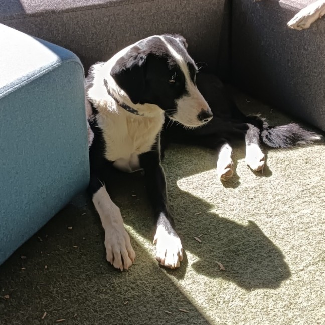 Photo of Billy