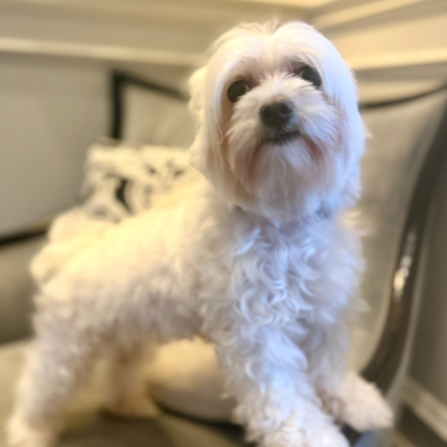 Photo of Milly