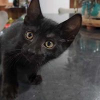 Photo of Johny