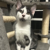 Photo of Kaleb 🧵😻