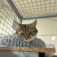 Photo of Mildred