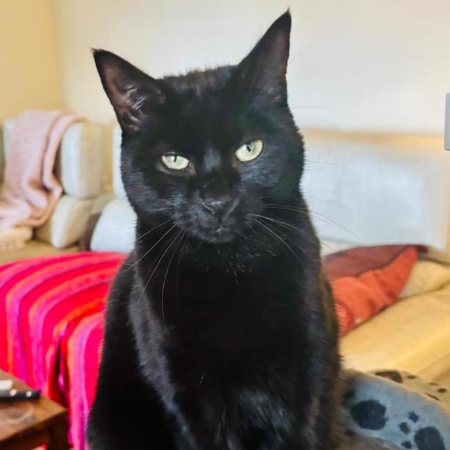 Photo of 💚 Mali 💚