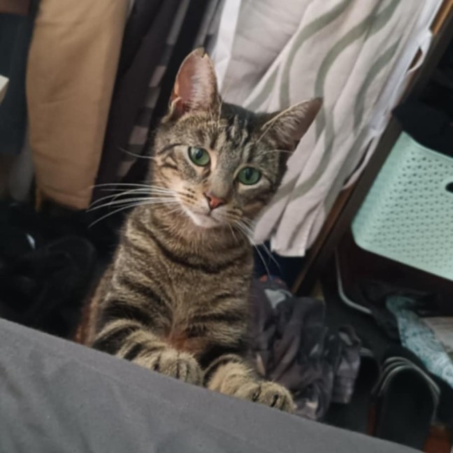Photo of Huey