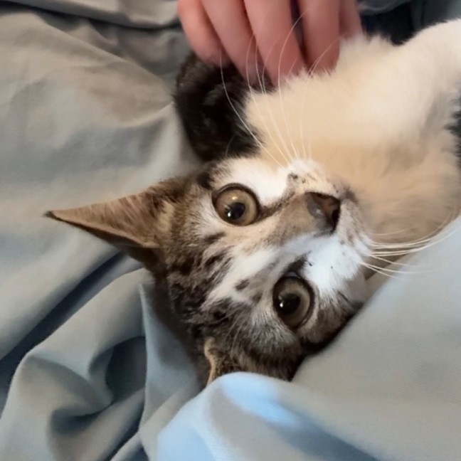 Photo of Polly