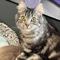 Photo of Megan