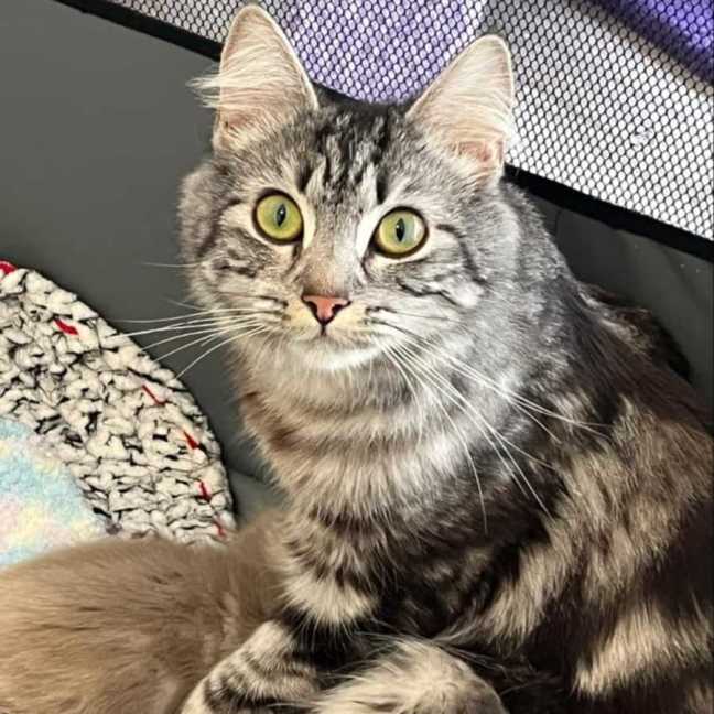 Photo of Megan