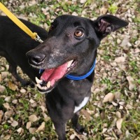 Photo of Daisy 🩷🌼