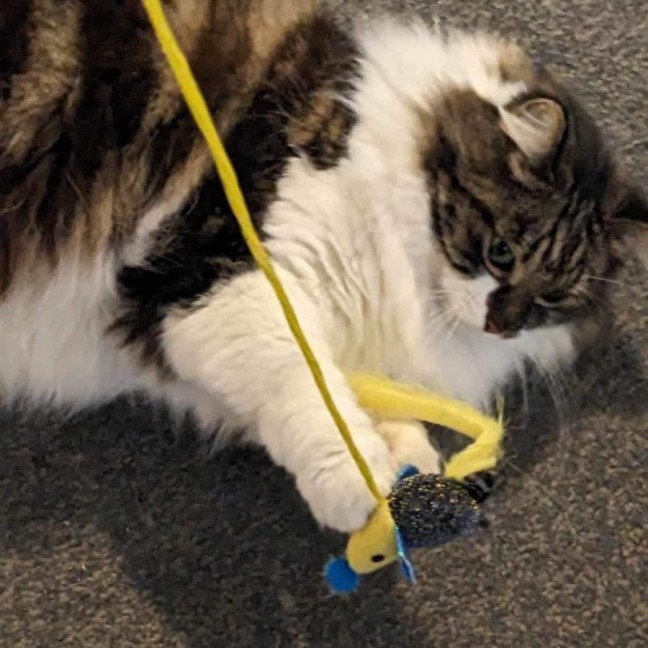 Photo of Jeannie! 😻