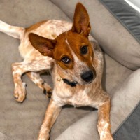 Photo of Prince