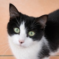 Photo of 🤍  Hannah Banana ❤︎