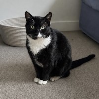 Photo of Fighter
