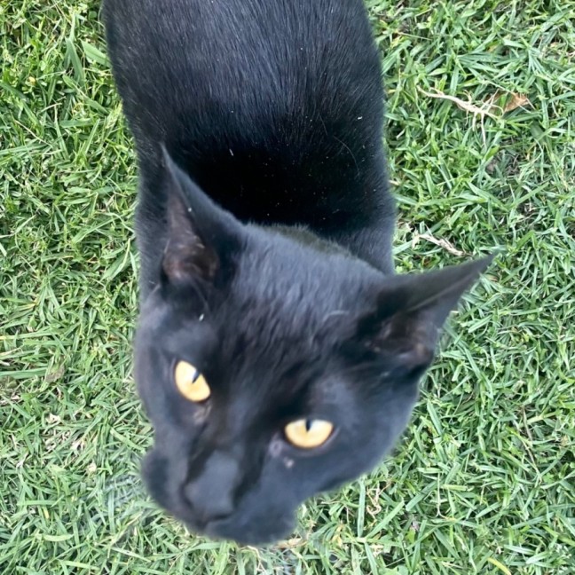 Photo of Logan