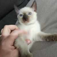Photo of Lilli